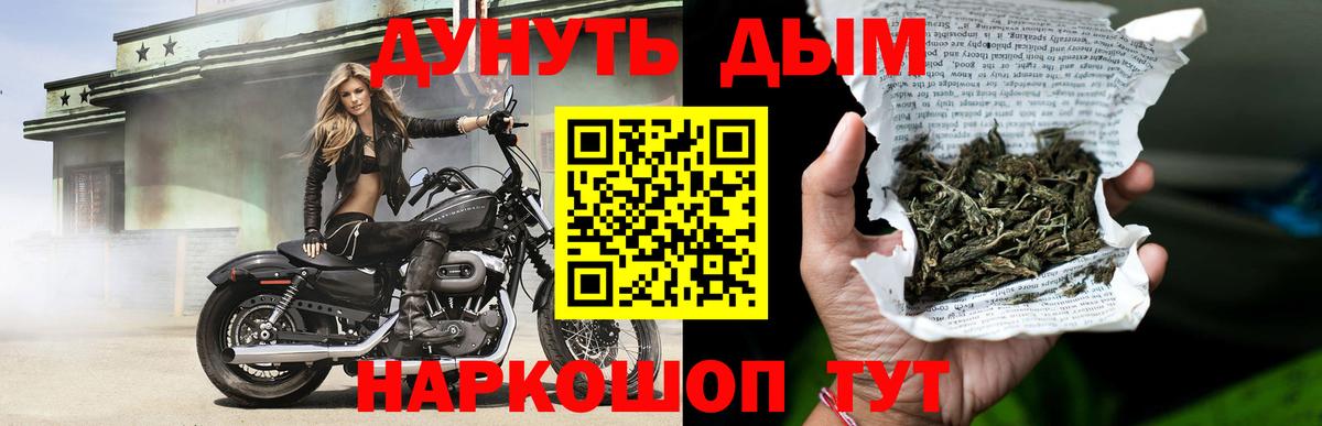 Канабис OG Kush  МАРИХУАНА семена  Кунгур  МАРИХУАНА AK-47  Вход с VPN 